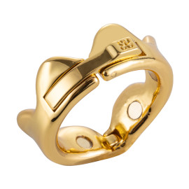 Sevanda Ring of Kings Glans Ring L
