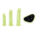 Whipsmart Glow in the Dark 4pc Pegging Kit with 6