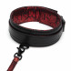 Fifty Shades of Grey Sweet Anticipation Collar & Lead