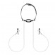 Bedroom Fantasies Nipple Clamps & Silicone Gag Ring